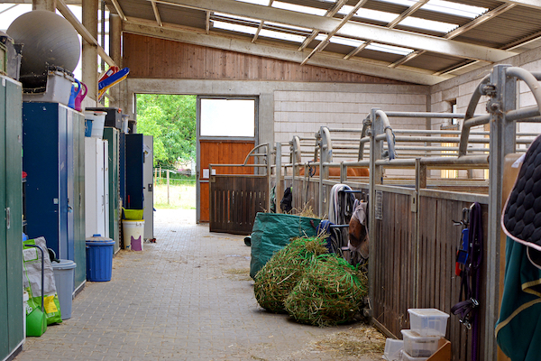 centre equestre pension box cheval equitation assurance 600x400